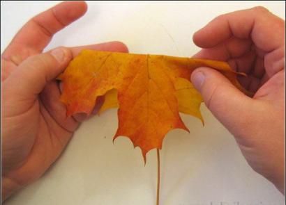 Поделки из осенних кленовых листьев своими руками (44 фото)